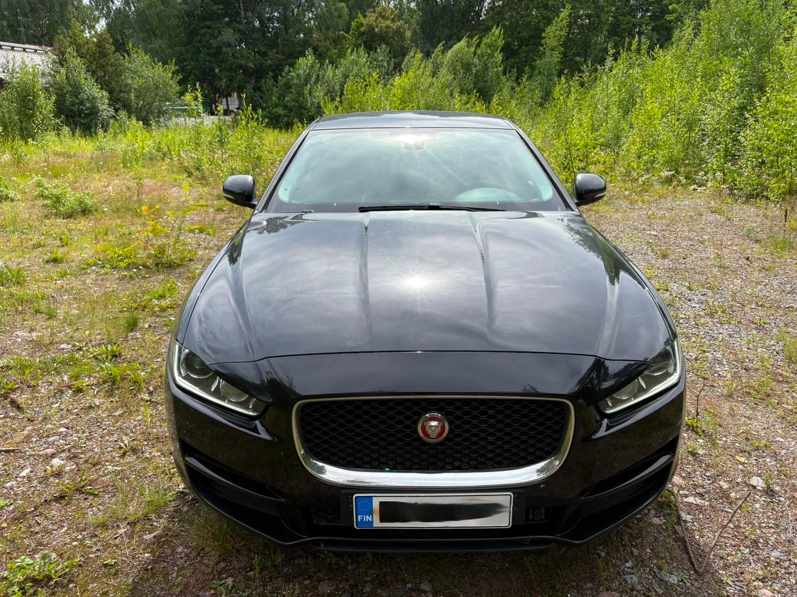 Jaguar XE – kuva 2